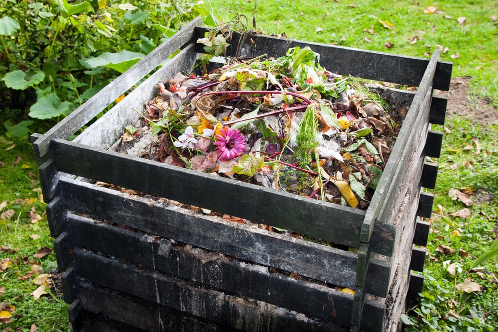 recycle and reuse with a Composting Bin